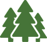 Three green pine trees depicted in a simple icon style, representing nature or forestry. Trees have a uniform, triangular shape and green color.